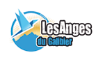 Logo Les Anges du Galibier